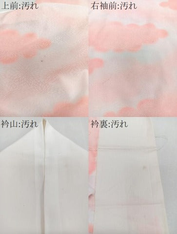 平和屋着物■長襦袢 無双仕立て 雲取り菊文 洗える着物 CABJ4246xi
