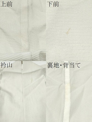 平和屋着物*夏物 訪問着 絽 手描き 紫陽花 正絹 逸品 CABJ4811hy