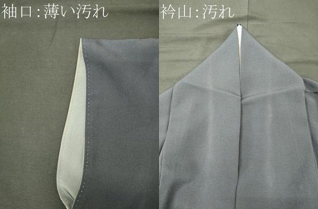 平和屋着物■訪問着 駒刺繍 草木文 暈し染め 金彩 正絹 逸品 CABJ7093oy