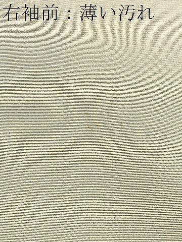 平和屋着物■訪問着 駒刺繍 雪芝短冊花蝶文 暈し染め 金彩 正絹 逸品 CABJ8316xe