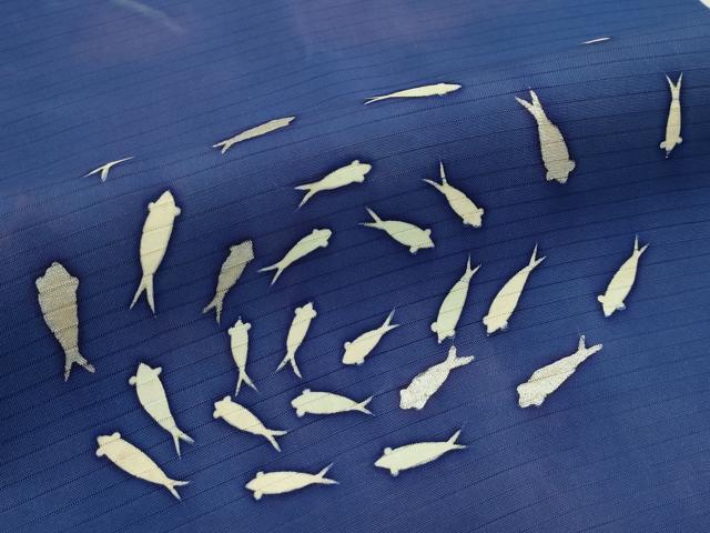 平和屋着物*夏物 絽塩瀬 九寸名古屋帯 魚 正絹 逸品 CABJ9133rv