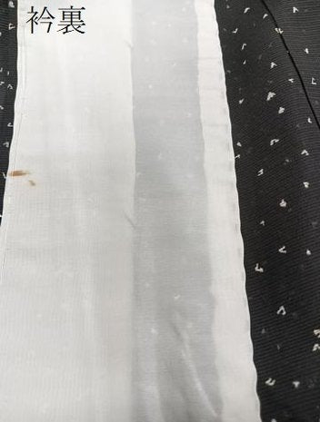 平和屋着物*夏物 小紋 絽 霞文 黒地 銀彩 正絹 逸品 未使用 CABJ9650xi