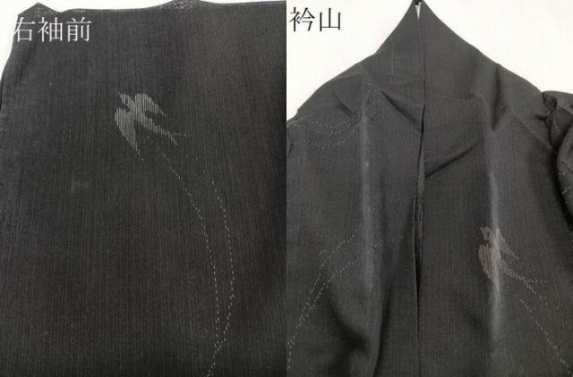 平和屋着物*夏物 紗紬 飛鳥文 黒地 正絹 逸品 CABJ9652xi