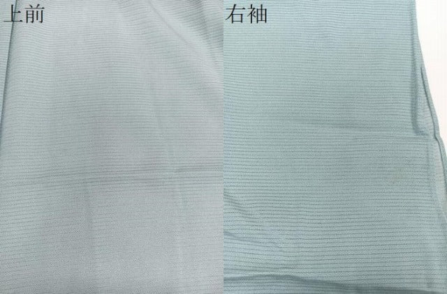 平和屋着物*夏物 江戸小紋 彫士:住田双光・染士:服部光擴 絽 鮫小紋柄 正絹 逸品 CABJ9669xi