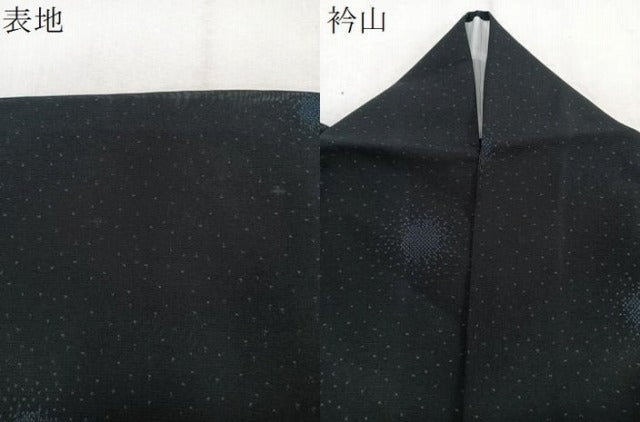 平和屋着物*夏物 夏大島 霞文 正絹 逸品 CABJ9704xi