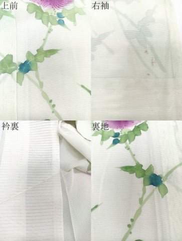 平和屋着物*夏物 訪問着 絽 手描き 枝草花文 正絹 逸品 未使用 CABJ9713xi