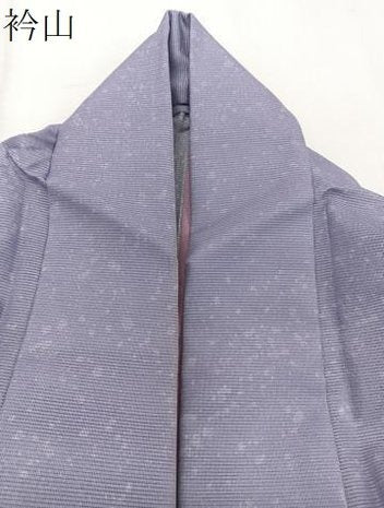 平和屋着物*夏物 訪問着 絽 草花文 洗える着物 CABJ9749xi