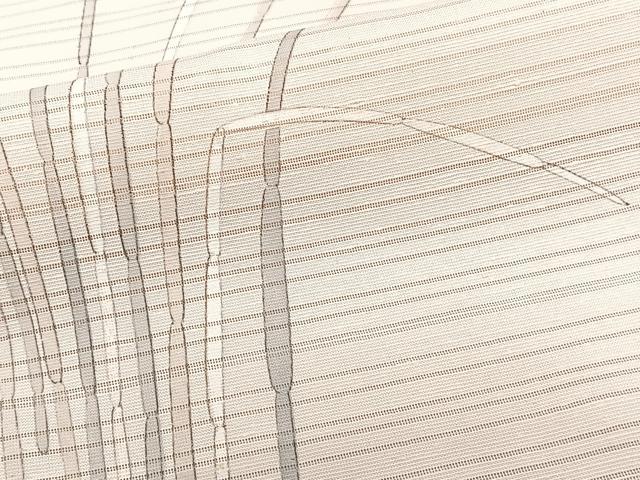 平和屋着物*夏物 訪問着 変わり絽 絽紬 木賊文 正絹 逸品 CABJ9805xi