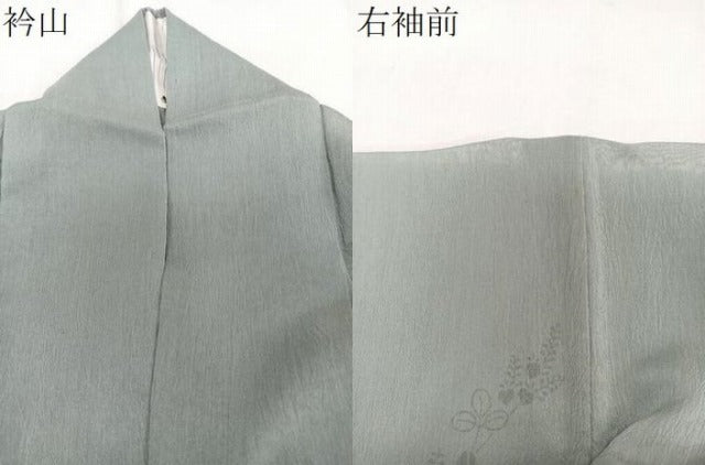 平和屋着物*夏物 訪問着 紗 刺繍 枝萩文 夏虫 銀糸 正絹 逸品 CABJ9815xi