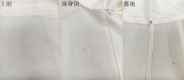 平和屋着物*夏物 訪問着 絽 手描き 枝草花文 正絹 逸品 CABJ9853xi