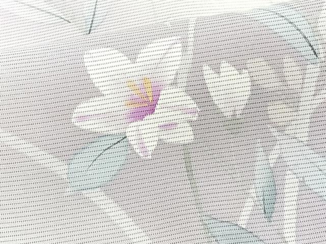 平和屋着物*夏物 訪問着 絽 手描き 枝草花文 正絹 逸品 CABJ9872xi