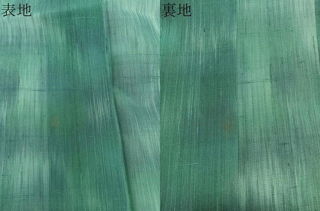平和屋着物*夏物 紗紬 霞文 正絹 逸品 CABJ9933xi