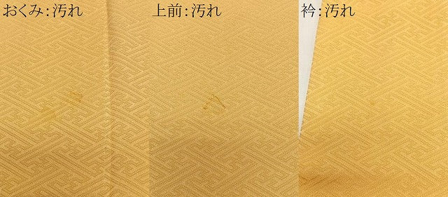 平和屋着物■上質な色無地 紗綾形地紋 玉蜀黍色 正絹 逸品 CABK0063ua