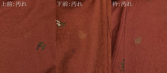 平和屋着物■上質な小紋 南天文 金彩 正絹 逸品 CABK0093ua