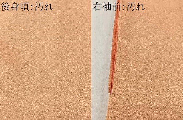 平和屋着物■訪問着 ろうけつ染 草木文 暈し染め 正絹 逸品 CABK0129ua