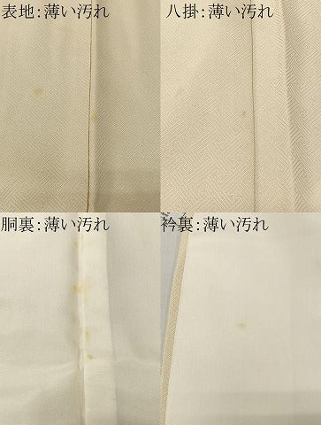 平和屋着物■豪華色留袖 駒刺繍 地紙風景文 金彩 正絹 逸品 CABK0167ua