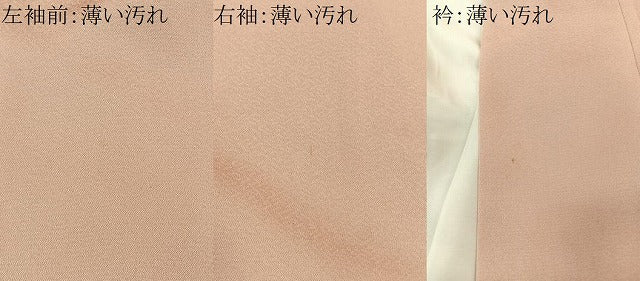 平和屋着物■豪華色留袖 刺繍 草花文 金糸 正絹 逸品 CABK0184ua