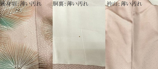 平和屋着物■豪華色留袖 籬松葉文 暈し染め 金銀彩 正絹 逸品 CABK0222ua