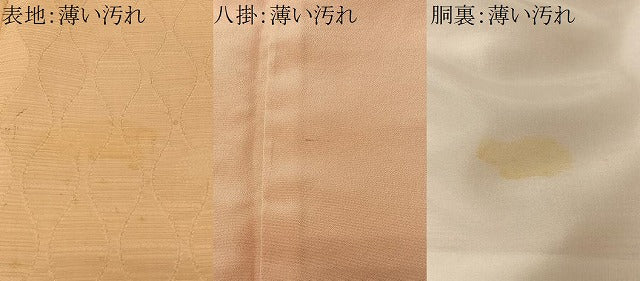 平和屋着物■上質な色無地 立涌地紋 洒落柿色 正絹 逸品 CABK0240ua