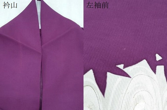 平和屋着物*夏物 訪問着 絽 楓シルエット 光琳水 金銀彩 正絹 逸品 CABK0510th