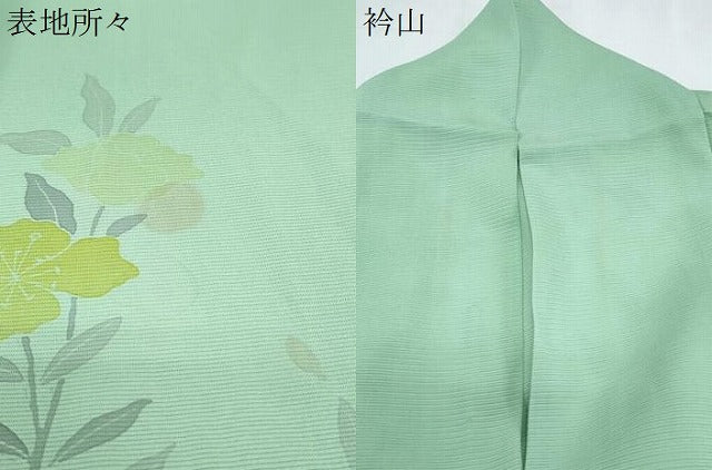 平和屋着物*夏物 訪問着 絽 草花文 暈し染め 正絹 逸品 CABK0534th