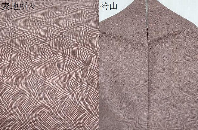 平和屋着物*夏物 江戸小紋 色留袖 絽 作家物 鮫小紋柄 吉祥文 正絹 逸品 CABK0537th