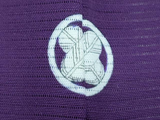 平和屋着物*夏物 色無地 絽 紫紺色 正絹 逸品 CABK0558th