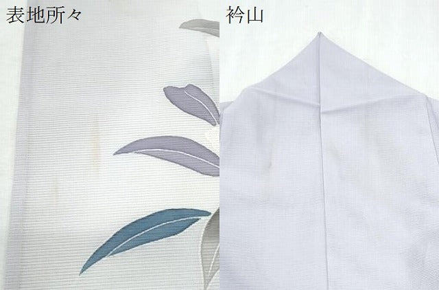 平和屋着物*夏物 訪問着 絽 草花文 暈し染め 洗える着物 CABK0639th