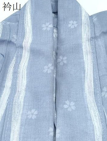 平和屋着物*夏物 小紋 紗 花間道 洗える着物 CABK0653th