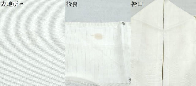 平和屋着物*夏物 訪問着 絽 楓文 洗える着物 CABK0695th
