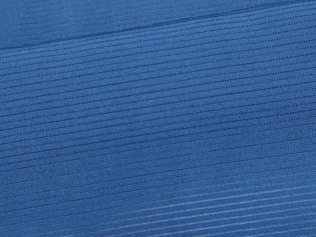 平和屋着物*夏物 色無地 絽 瑠璃紺色 正絹 逸品 CABK0806ou