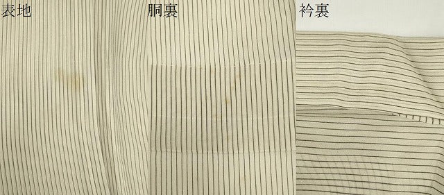 平和屋着物*夏物 男性 紗紬 縞 正絹 逸品 CABK0825ou