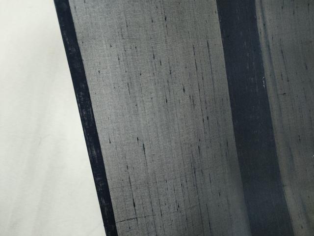 平和屋着物*夏物 訪問着 紗紬 作家物 吉祥枝梅文 金彩 正絹 逸品 CABK0833ou