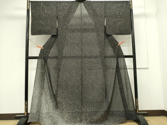 平和屋着物*夏物 訪問着 絽 霞文 たたき染め 黒地 正絹 逸品 CABK0866ou