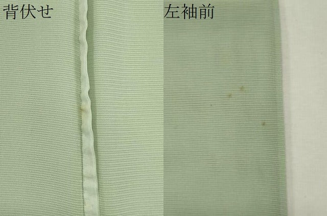 平和屋着物*夏物 訪問着 絽 手描き 舞蝶草木文 銀彩 正絹 逸品 CABK0891ou