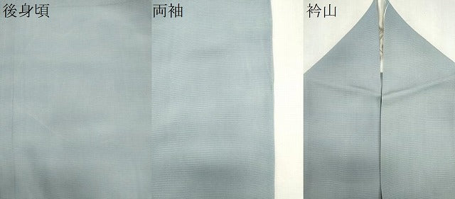 平和屋着物*夏物 虹色創家 本郷大田子 小紋 絽 霞文 暈し染め 正絹 逸品 CABK0921ou