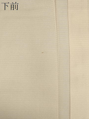 平和屋着物*夏物 訪問着 絽 草花文 暈し染め 正絹 逸品 CABK0926ou