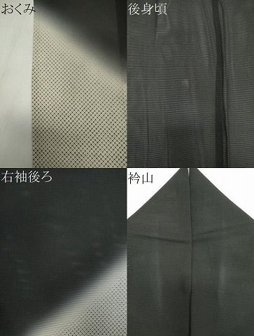平和屋着物*夏物 訪問着 絽 吹き寄せ文 暈し染め 黒地 正絹 逸品 CABK1001ou