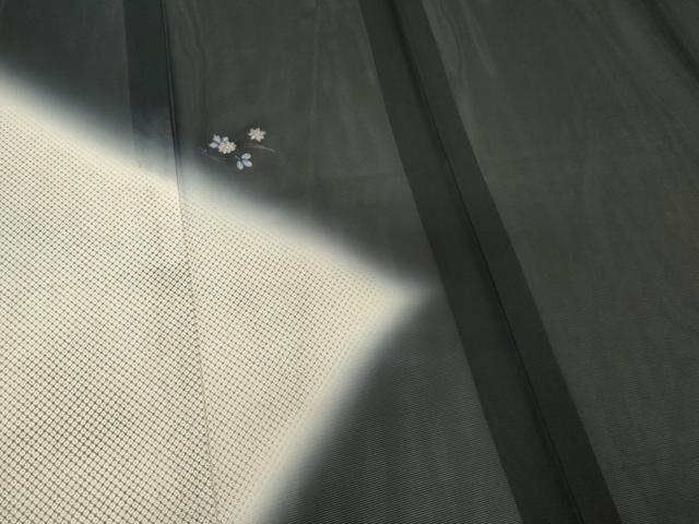 平和屋着物*夏物 訪問着 絽 吹き寄せ文 暈し染め 黒地 正絹 逸品 CABK1001ou