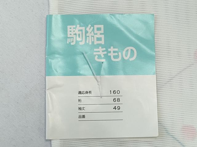 平和屋着物*夏物 小紋 絽 抽象文様 洗える着物 未使用 CABK1071ou