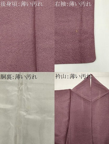 平和屋着物■江戸小紋 寄せ小紋柄 正絹 逸品 CABK1100ou
