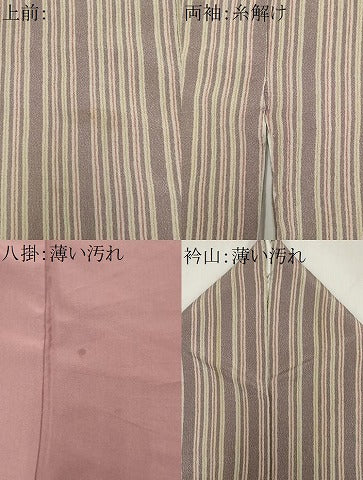 平和屋着物■上質な小紋 縞 鬼しぼ縮緬 正絹 逸品 CABK1110ou
