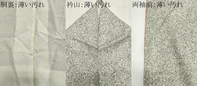 平和屋着物■訪問着 訪問着 草花文 金彩 正絹 逸品 CABK1163ou