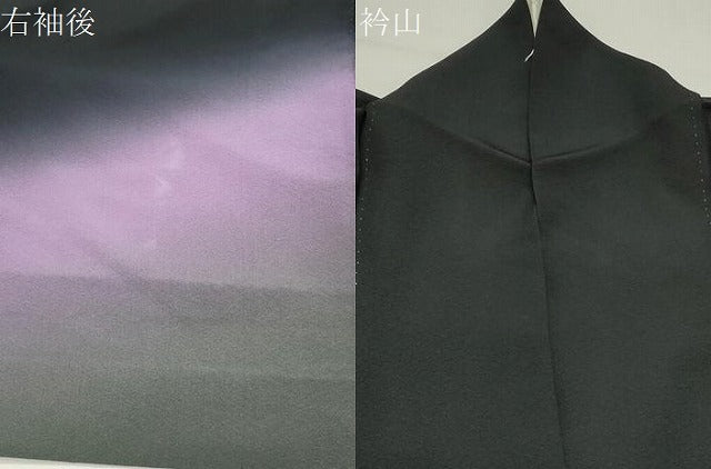 平和屋着物●訪問着 刺繍 飛鶴文 暈し染め 黒地 金糸 正絹 逸品 CABK2303gh