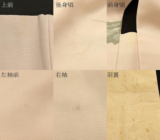 平和屋着物#羽織 寿光織 枝花文 暈し染め 金銀糸 正絹 逸品 CABK3280in