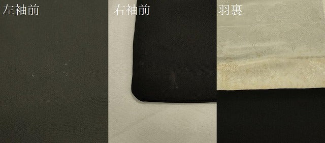 平和屋着物#羽織 寿光織 風景文 黒地 銀糸 正絹 逸品 CABK3502in
