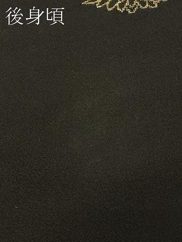 平和屋着物#羽織 寿光織 菊づくし 黒地 金銀糸 正絹 逸品 CABK3599in