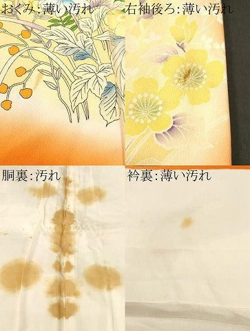 平和屋着物■豪華振袖 刺繍 尾長鳥草花文 暈し染め 正絹 逸品 CABK3629ev
