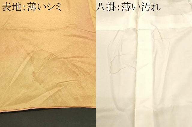 平和屋着物■上質な小紋 霞文 暈し染め 正絹 逸品 CABK3740ev