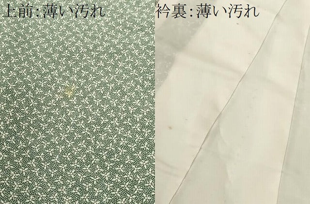 平和屋着物■江戸小紋 小花尽くし 正絹 逸品 CABK3758ev